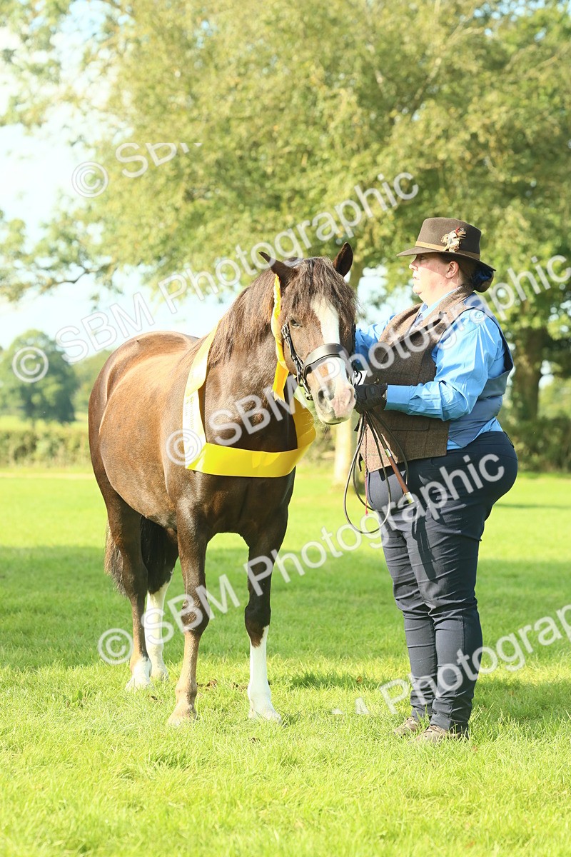 SBM_61099 - Starter Supreme Championship