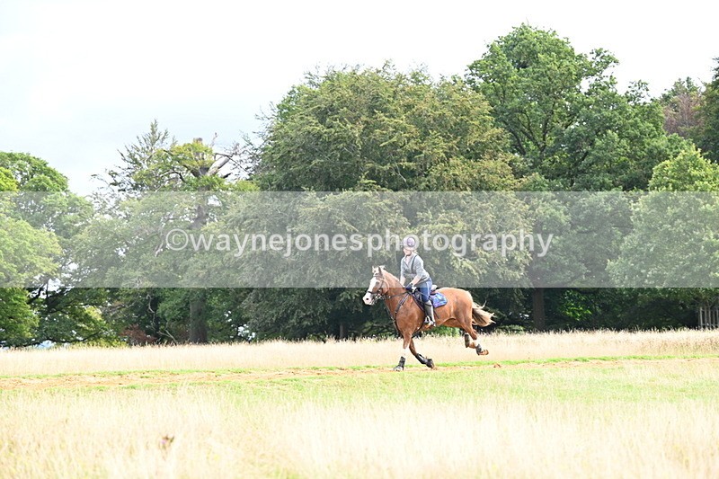 DSC_4543 - Time at Statue 09:50 to 11:09