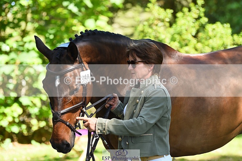 230524-154620-00491 - 369-GIDO_G-Sally_Chamberlain-WEDTrotUp+DR