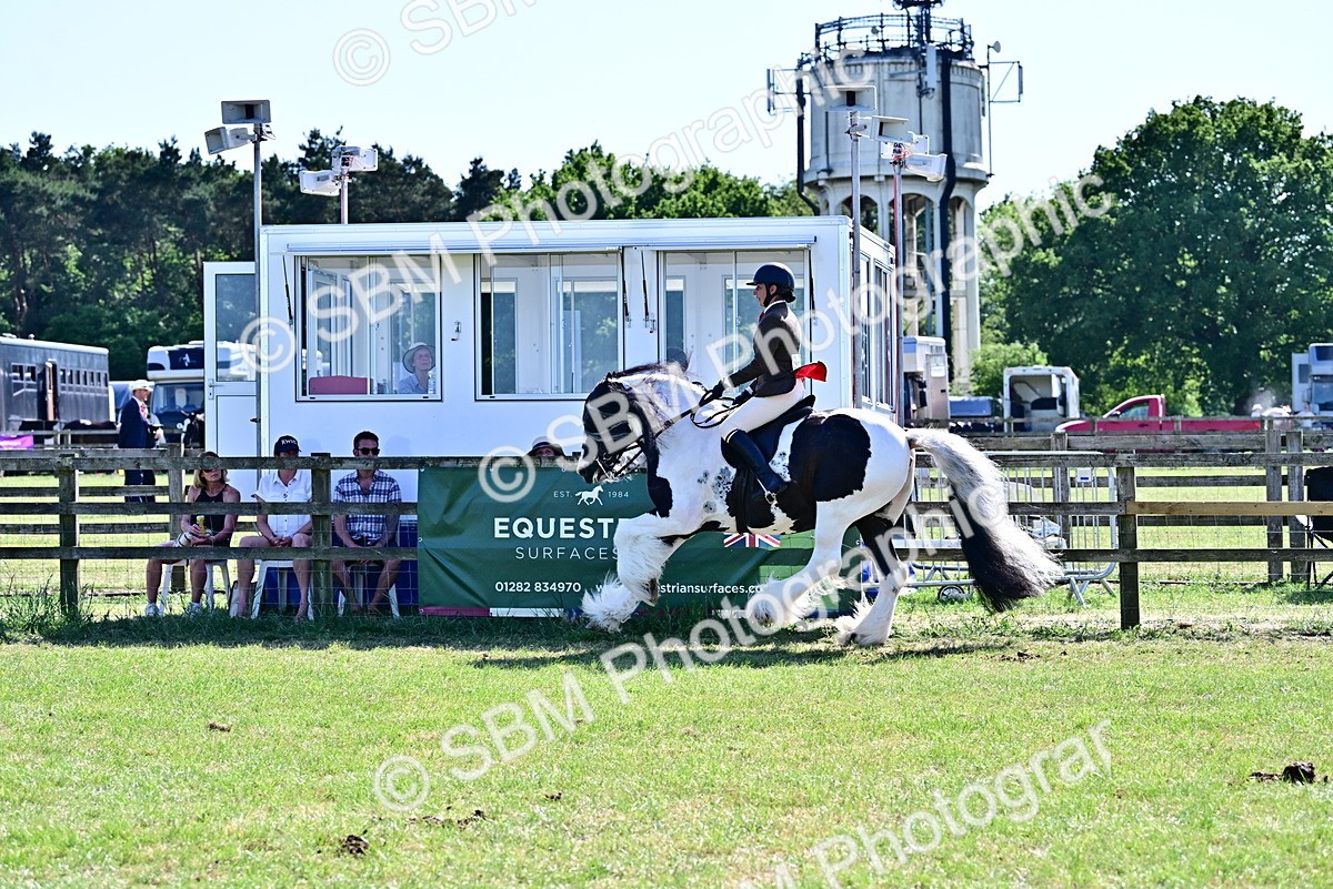 SBM_19390 - Class 101-102 - BSPS LIHS Performance Coloured Horse/Pony