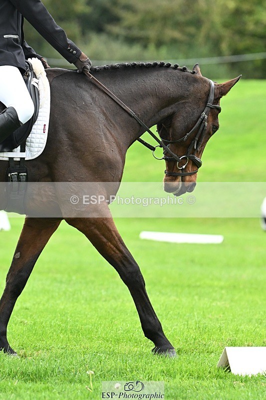 241024-111033-03157 - 504-Harry.Robinson-WHAT.A.WONDER