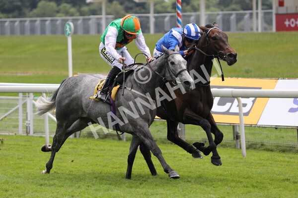 yr12062021r2-24 - Race 2 2.35pm The JCB Stakes