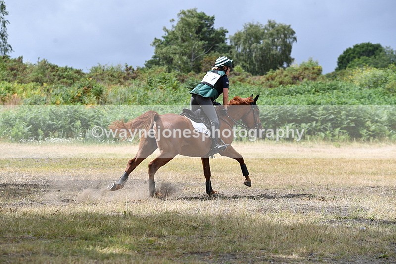 WJ5_1798 - XC Time 12:05 to 12:55