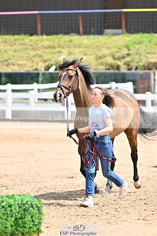 240718A-105305-01533 - Trot Up 12pm to 1pm