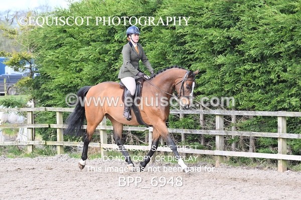 BPP_6948 - RING 1  (RIDDEN HORSES / IN HAND / VETERAN ETC)