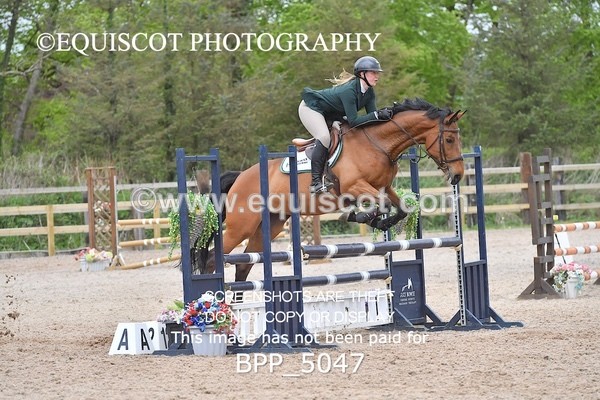 BPP_5047 - CLASS 24 SUN Senior BritiNovice/ 90cm Open