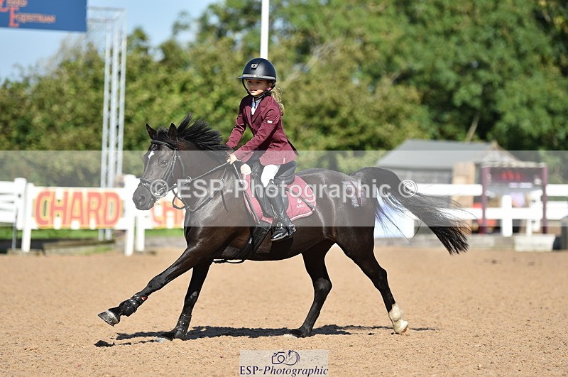 230903A-103006-03984 - Cls 18 Pony Brit Novice & 80cm Open