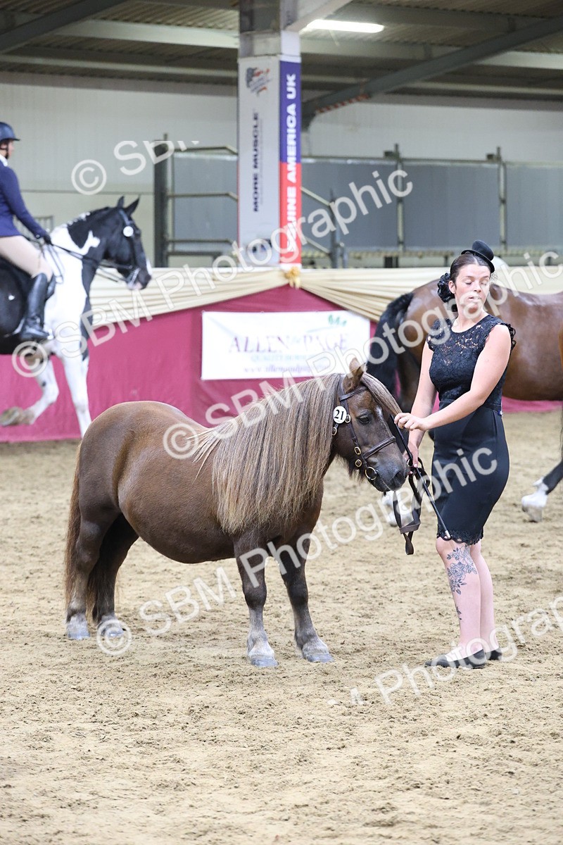 SBM_20162 - Class C - Novalty Champ