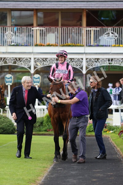 yr22052022r6-31 - Race 6: 6:05pm Sky Bet Sunday Series Stayers Stakes