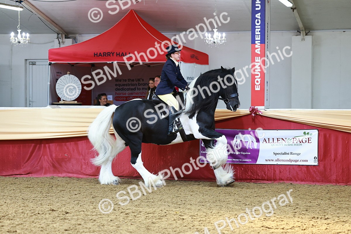 SBM_23331 - class 906 - Supreme Final - Ridden Pre Vet