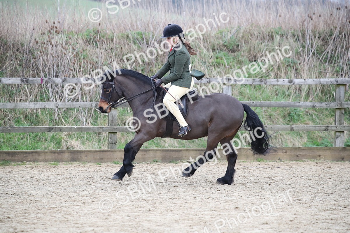 SBM_007243 - Class 10-13 - RIHS Small Large Breeds