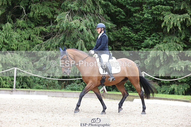 230812-150551-05049 - Cls 5 Novice Bronze 15.00 to End