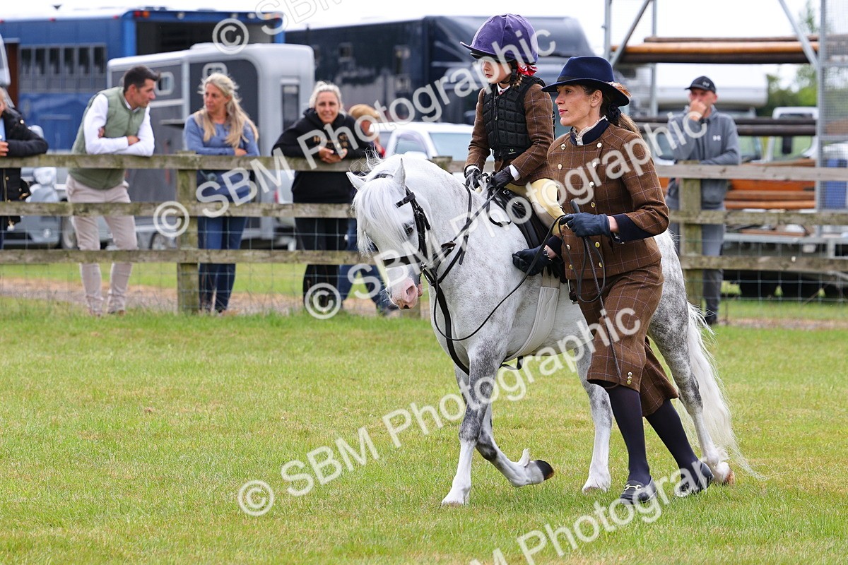 SBM_08258 - Class 42-43 - LIHS BSPS Heritage Working Sports Pony