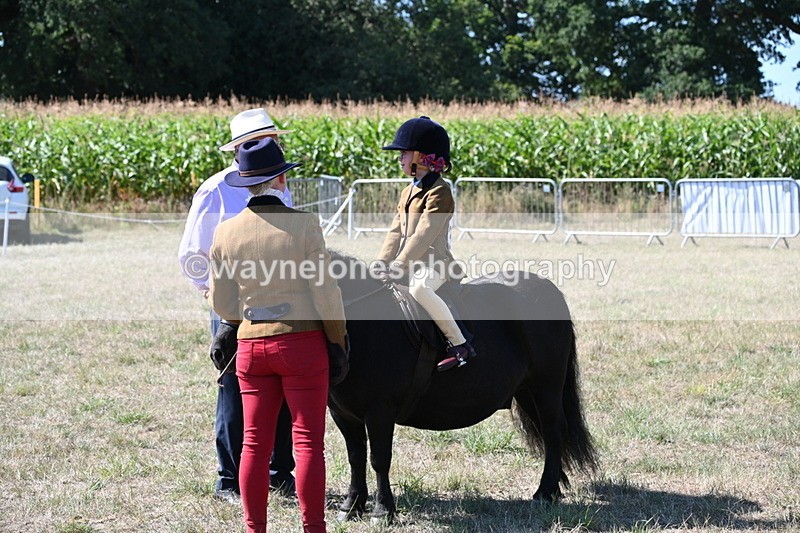 WJ6_8069 - Class 36 Lead Rein