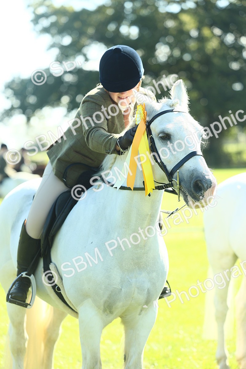 SBM_39085 - S29 - Novice & Newcomers Working Hunter Pony