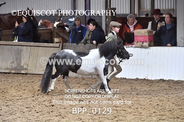 BPP_0129 - RING 1