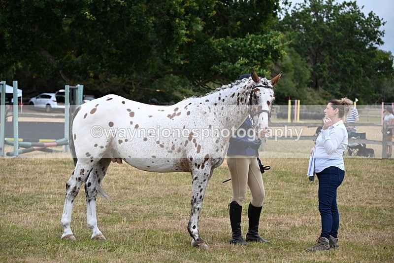 WJ6_4265 - Class 10 Coloured In-hand