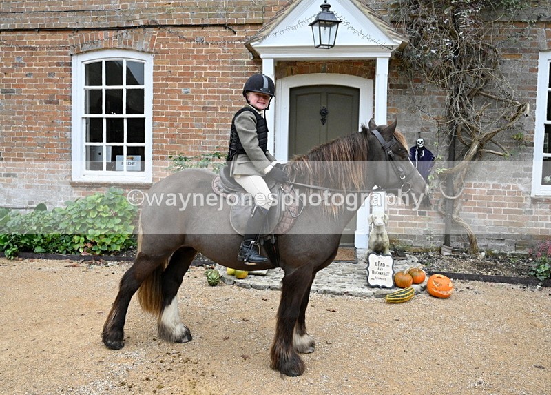 WJ7_6719 - Berks & Bucks - Children's Meet - The Old Farmhouse – Steventon.