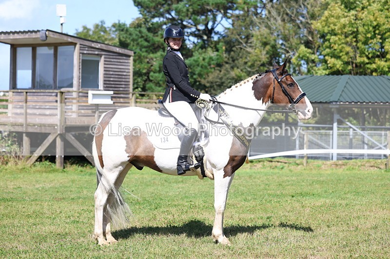 3E7A3482 - Presentations.