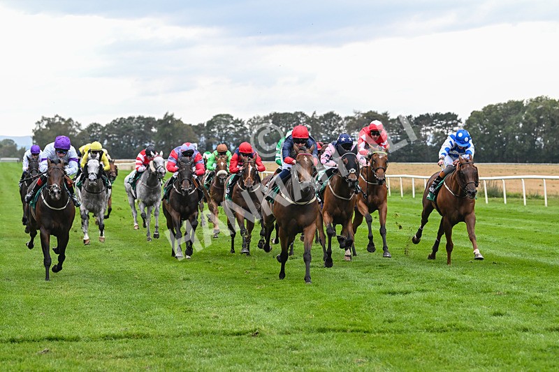 060925-Race 5-Eternal Sunshine-5870 - Race 5