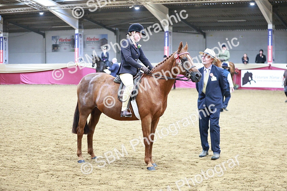 SBM_03449 - Class 6A Area Ridden Pre-Vet