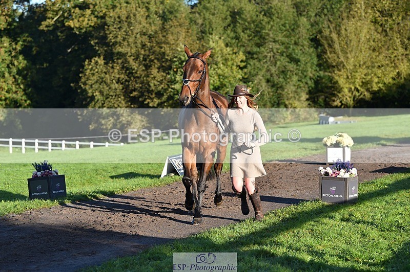 231022-092412-21759 - 617-MR.MISCHIEVOUS-Megan.Brown-TrotUp+SJ