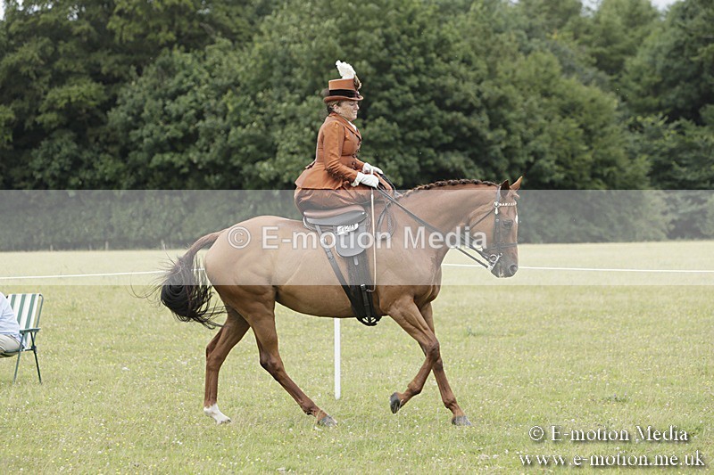 BVR160717-2425 - Side Saddle Classes 16/07/17