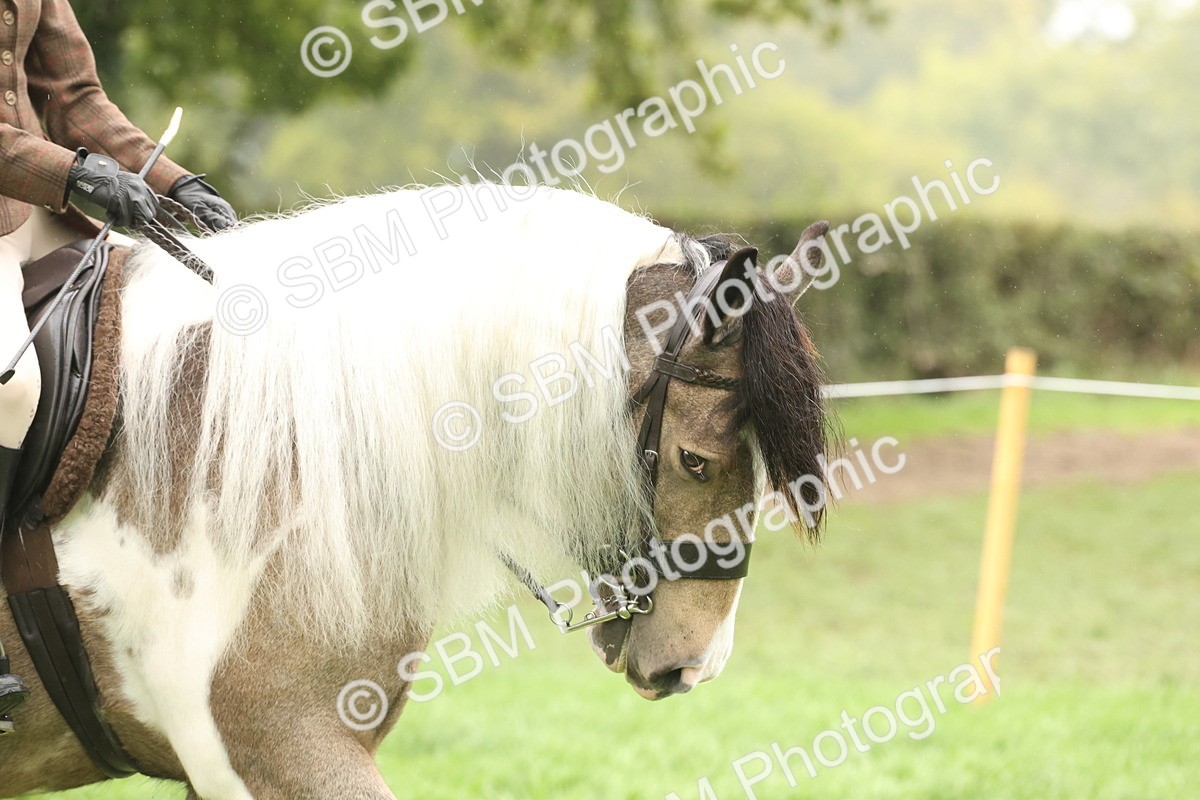 SBM_72659 - S70 - Traditional Cob Ridden