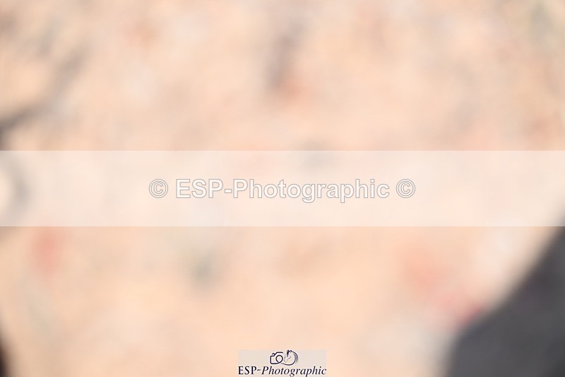 250620-141639-03635 - BD Cls 17 - FEI PSG