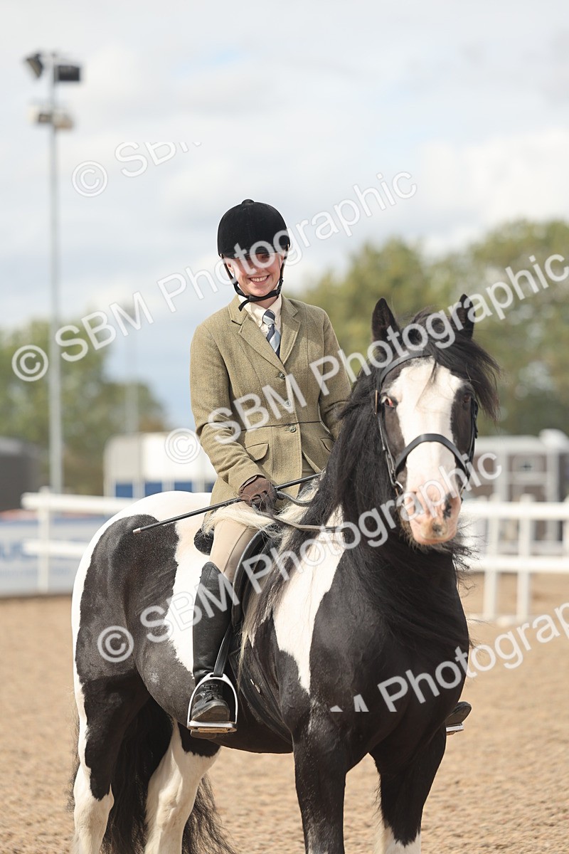 SBM_18051 - Class 314 - Family Horse Pony