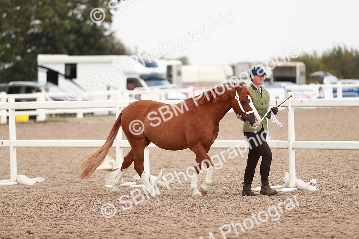 SBM_12395 - Class 207 IH M&M