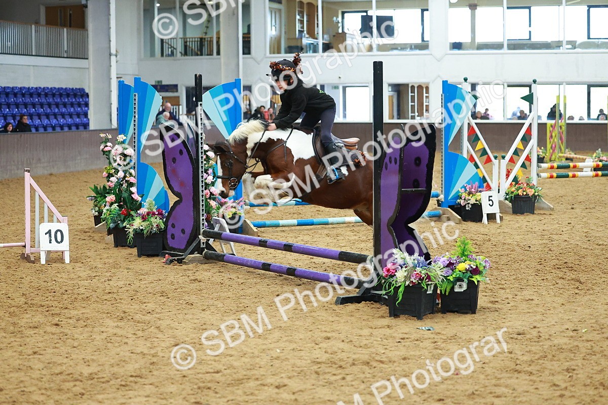 SBM_002515 - Class 3 - Horse & Hound (60cm)