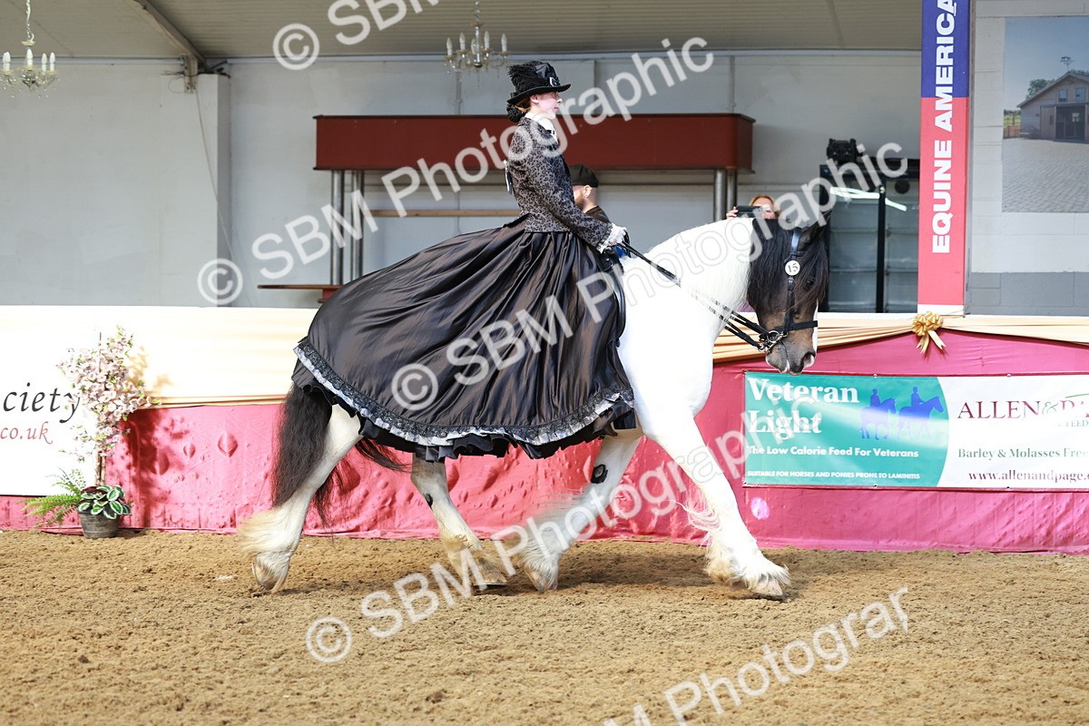 SBM_13691 - Class 106 - Ridden Costume -Astride Adult (15-19)