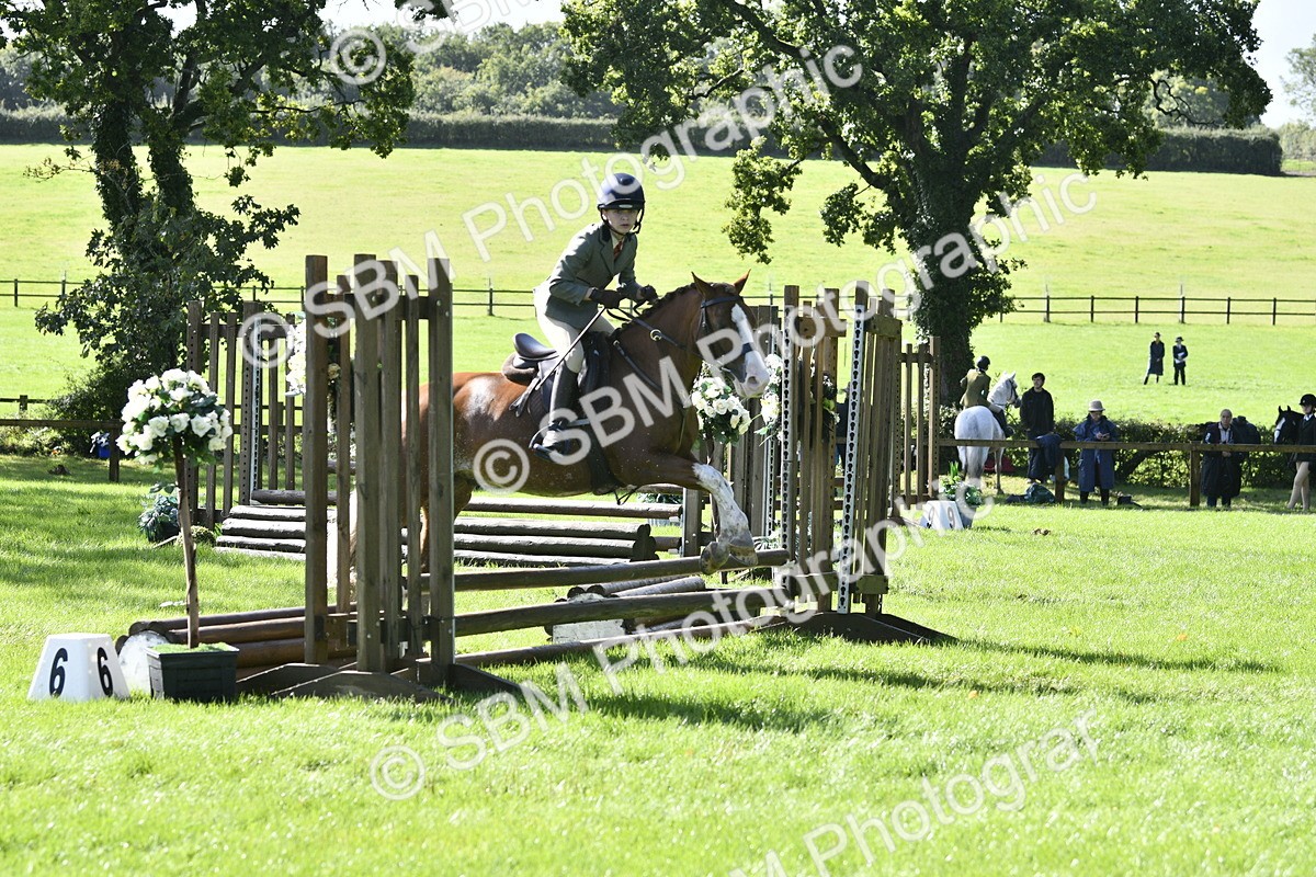 SBM_38210 - S31 - Novice & Newcomer Working Hunter Pony