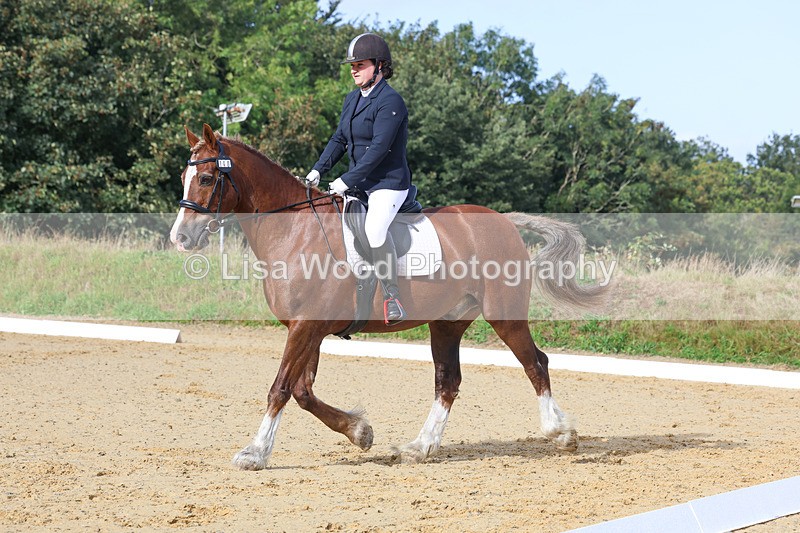 3E7A2238 - Class 1: Intro 4 2024 section A