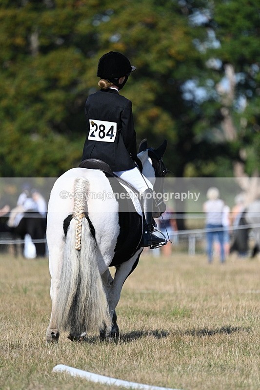 WJ7_9352 - Time 10:08 to 10:13