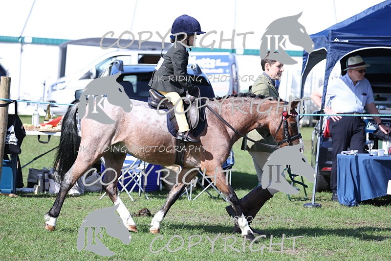 APP_3838 - Class 13 Lead rein