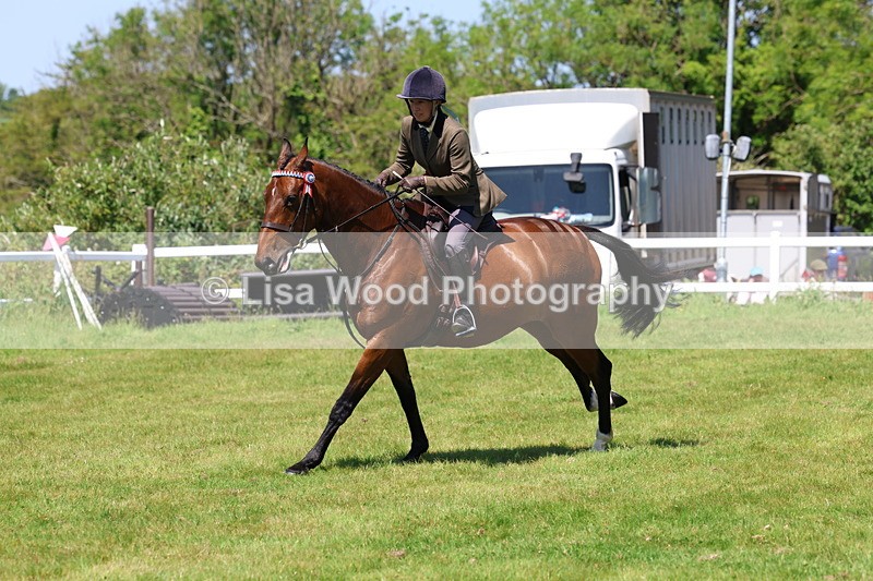 3E7A8080 - Working Hunter Championship