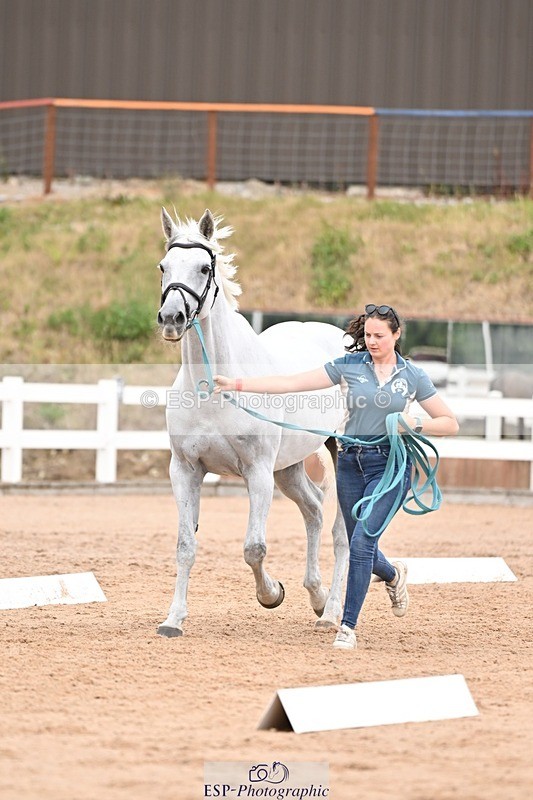 250716-155413-02258 - Trot Up 3.30 to 4.30