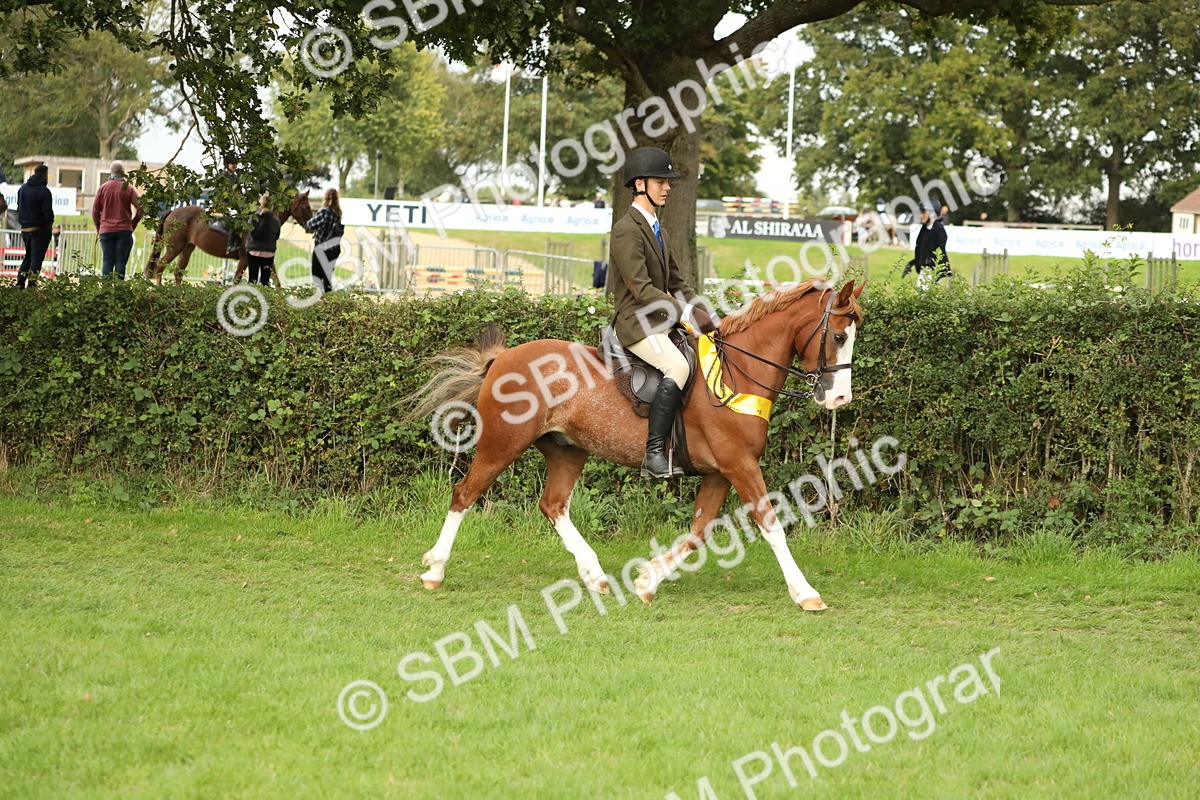 SBM_75353 - Equitation Supreme Championship