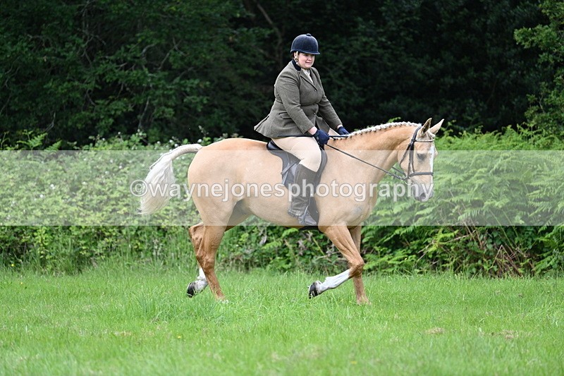 WJ7_2453 - Class 12A Coloured Class