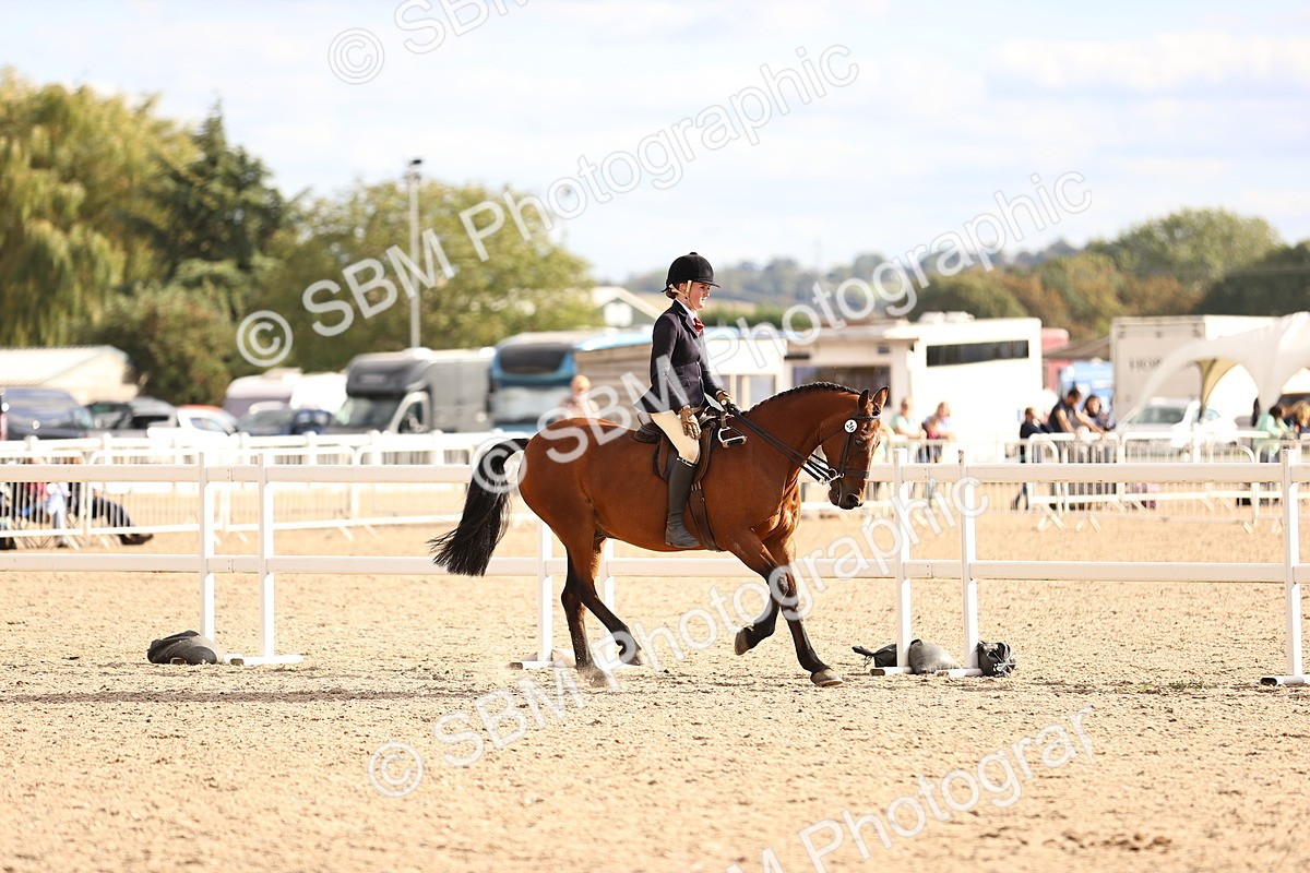 SBM_18237 - Class 423 - Equitation (best rider) Adult