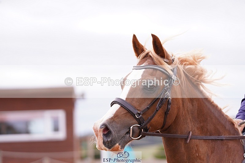 250706-164324-01348 - Cls 06 80cm