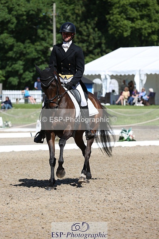 230526-102733-05259 - 361-FINCH_FANCY-Ben_Lee_Liles-WEDTrotUp+DR