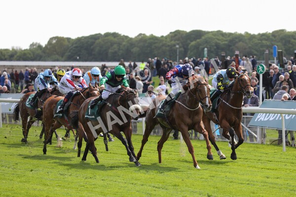 yr12052022r3-25 - Race 3 3.00pm The Paddy Power Hambleton Stakes