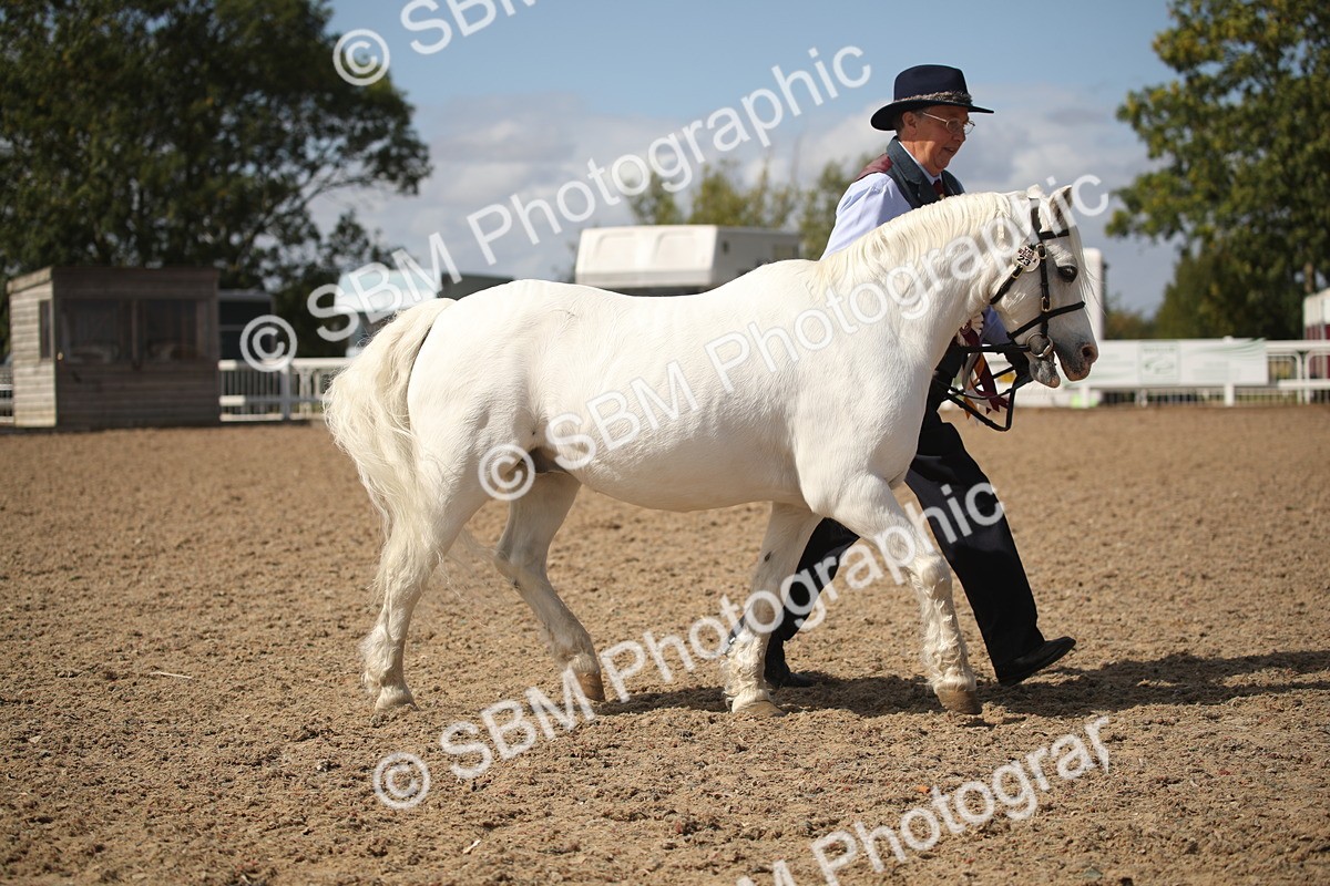 SBM_23598 - Class 605 - 2026 - Area - IH Veteran