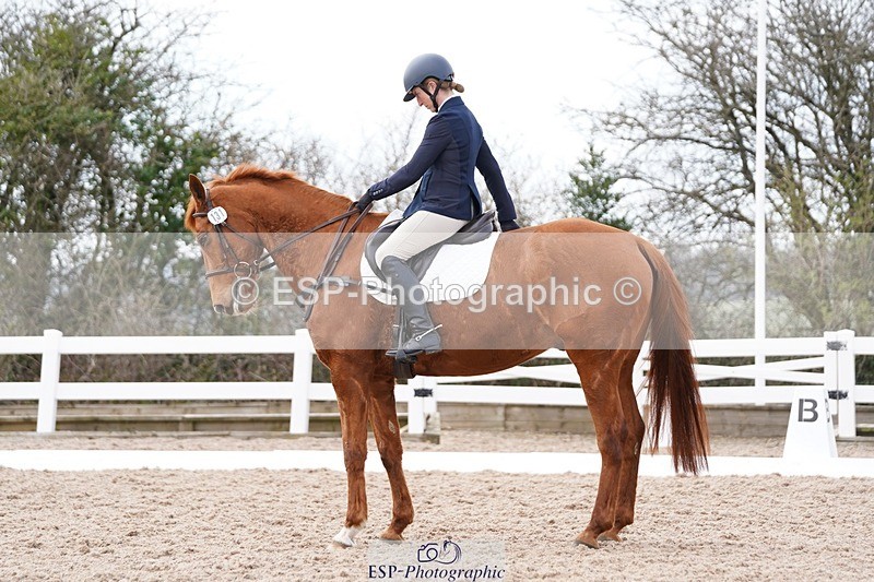 250322-131502-00471 - DR Elementary 2 Test