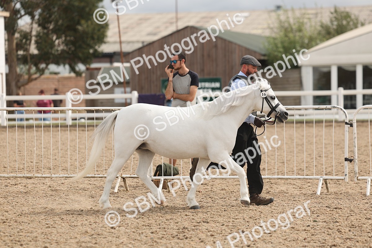 SBM_04958 - Class 20 - IH Veteran