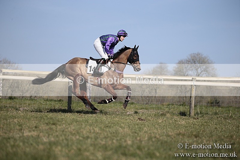 PtP 240218 222 - Vine & Craven Hunt Point-to-Point Barbury racecourse 24/02/18