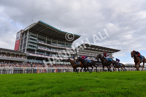 260724-Race 2-Churchella-0893 - Race 2 6.05pm Pearly Cow Handicap